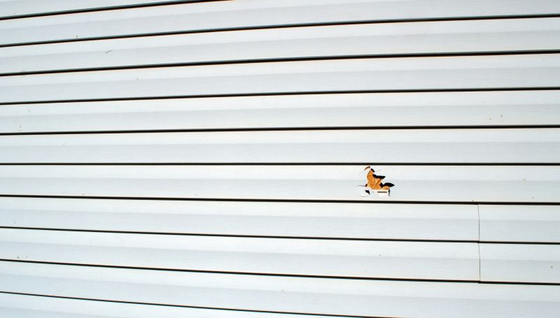 Siding Panel Replacement Process